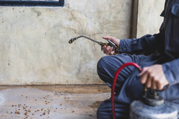 Best Pest Control Treatment  in Jenks, OK